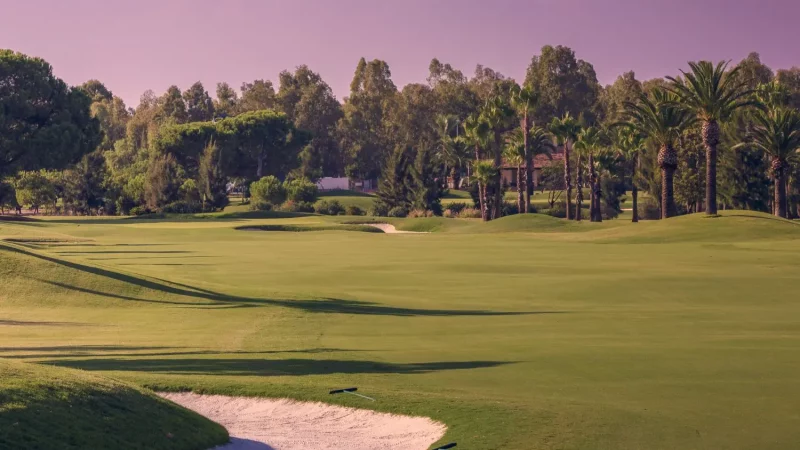 real-club-sevilla-golf (13)