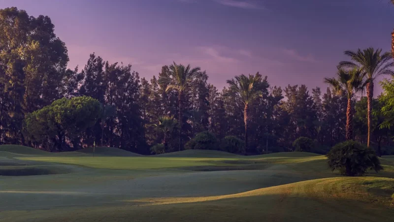 real-club-sevilla-golf (4)