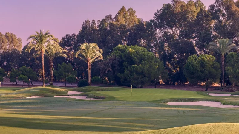 real-club-sevilla-golf (5)